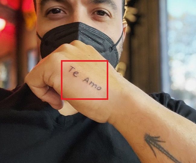 テ・アモ-ルイス・フォンシ