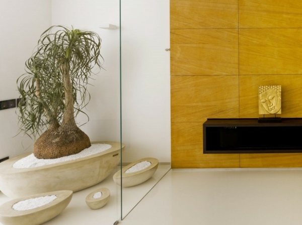 Mobilier Feng Shui-zonă de zi