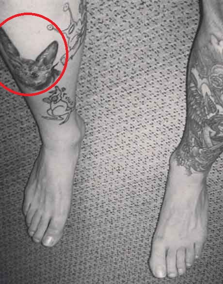 Tatuaggio viso di gatto feroce Mac Miller