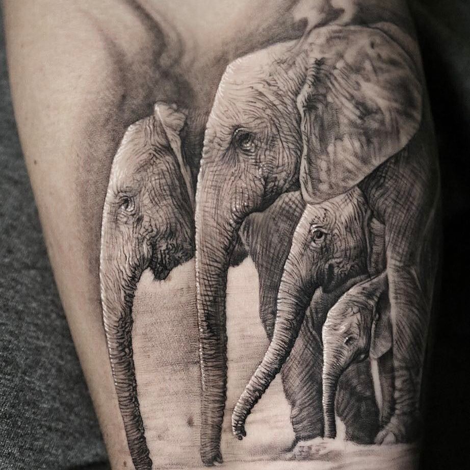 Tatuaggio elefanti-maluma