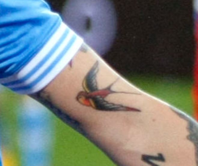 Tatuaggio uccello Marek