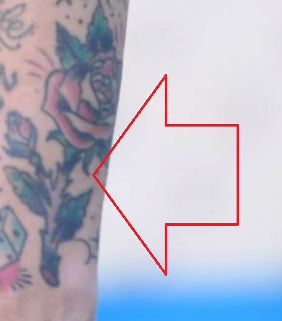 Tatuaggio rosa Marek