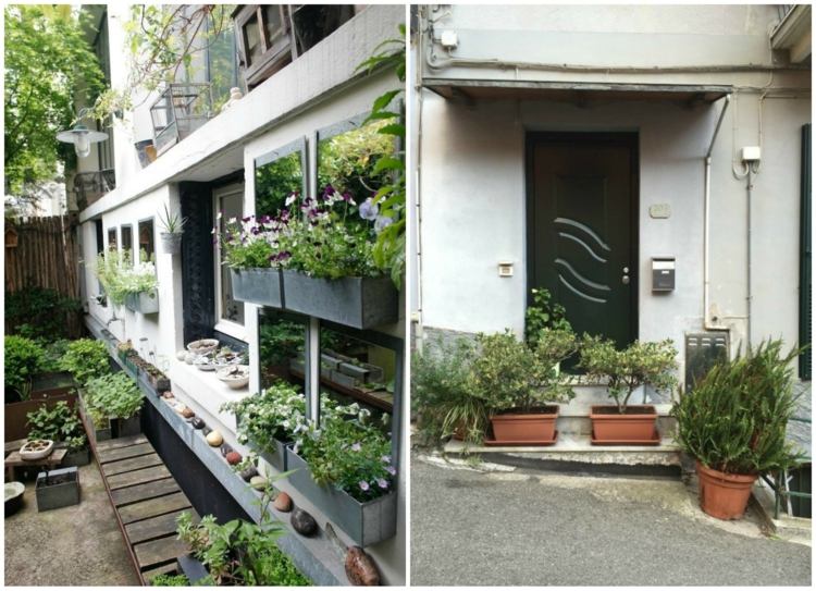 Intrare și fereastră verzi cu o mulțime de jardiniere pe care le puteți pune oriunde grădină-mediteraneană-grădinărit-amenajat-exterior-panselit-decor-din-piatră