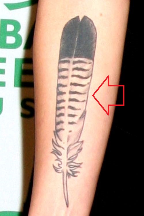 tatouage michelle branche-plume