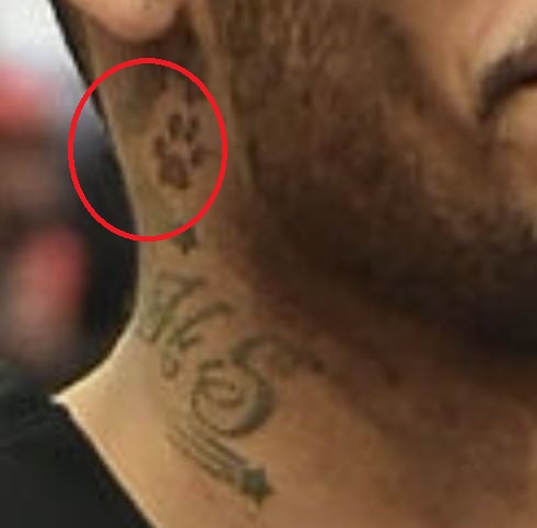 Odtisi šape Mike Scott