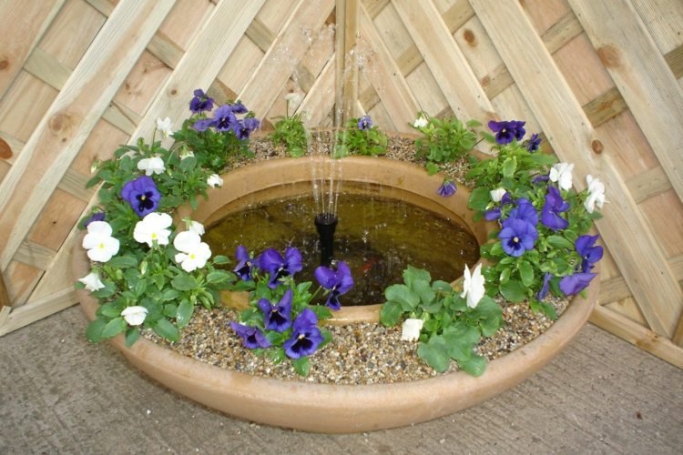 mini iaz balcon forma inelului panseluță albastru fântână albă