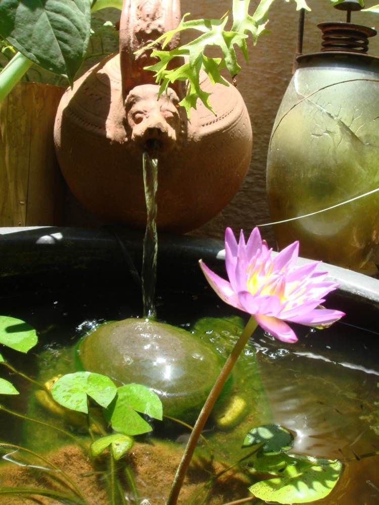 mini iaz balcon crin de apă ghiveci roz argilă cascadă idee piatră