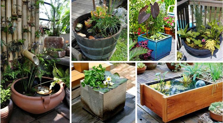 mini-iaz-balcon-idei-proiectare-propriul-dvs.-Klen-caracteristica de apă