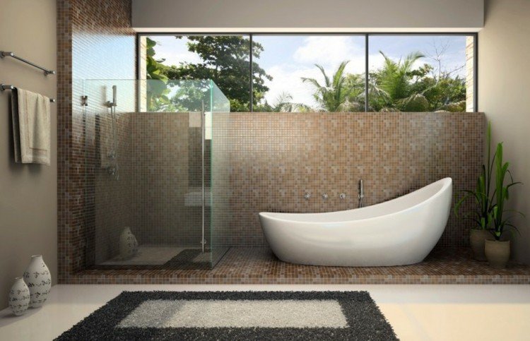 planta-baie-dracaena-cada-alba-dus-fereastra-suport-prosop-prosop