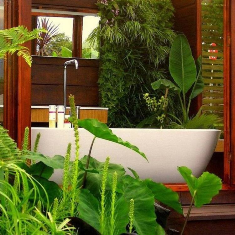 Plante pentru baie ficus-sabie ferigă-săgeată frunze-cadă-independent-accesorii pentru baie-lemn-perete verde
