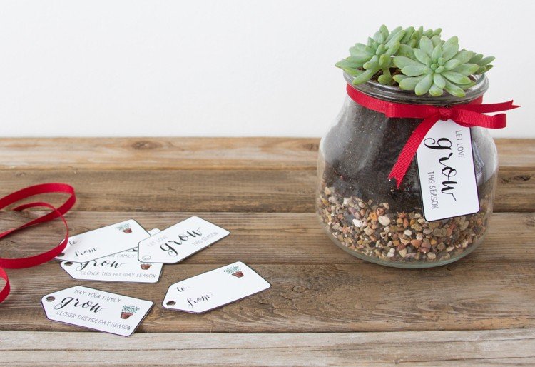 suveniruri Crăciun idei originale plante sticlă