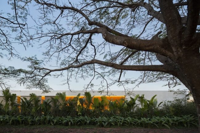 Casă modernă - cu acoperiș plat - în grădina cu palmieri din jungla