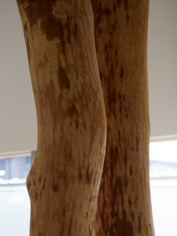 casa gradina copac construit trunchi de copac casă grădină construită în jurul trunchiului copacului