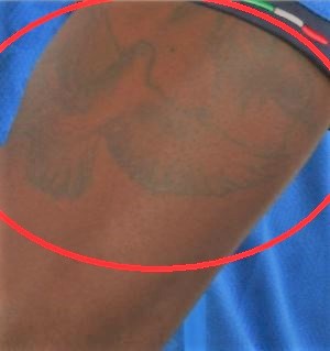 Moiseフライングピジョンタトゥー