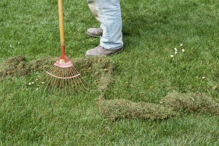 Îndepărtați mecanic mușchiul din gazon, greblați