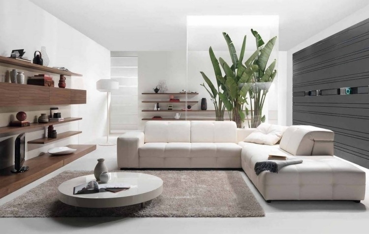 Idee pentru plante mari din interior - perete de sticlă feng-shui-living-mobilier-colț-canapea-rotund-masă-de-cafea-plante-perete-raft-alb-crem