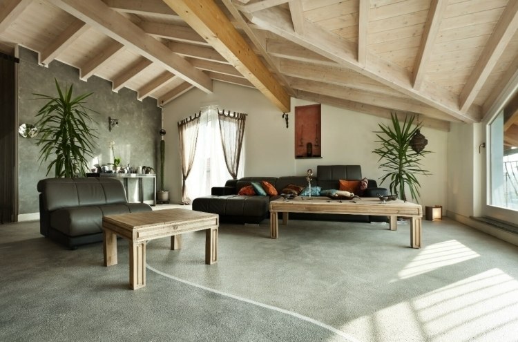 spațiu deschis mare, cu acoperiș din lemn feng-shui-living-mobilier-din-lemn-tavan-canapea-mare-lemn-negru-mese-ferestre