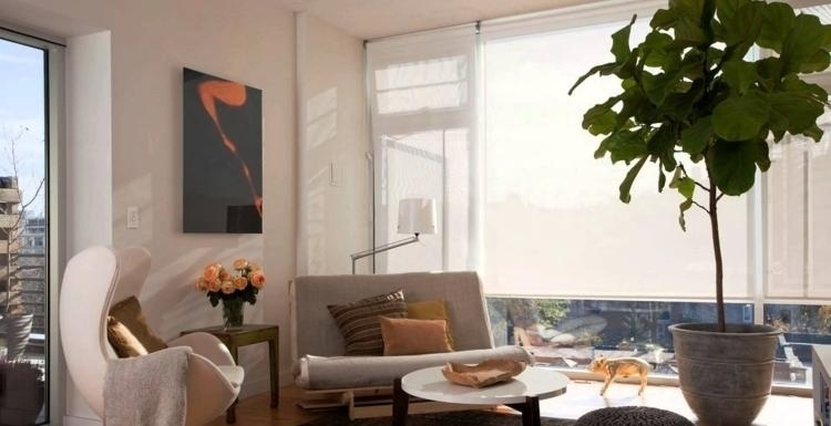 mobilier modern al unei camere luminoase feng-shui-living-mobilier-canapea-mic-planta-de-ou-masuta-cafea-deco-fereastra-luminoasa