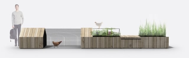 om economie ecologie natură prietenos concept pui dezvoltare durabilă om economie ecologie natură prietenoasă