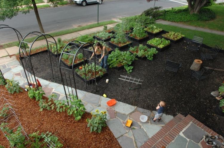 Crearea unei grădini de bucătărie - avantaje și dezavantaje ale solului nisipos Creați-bucătărie-grădină-grădină-față-grădină-idee-grădină-cale-plăci de piatră