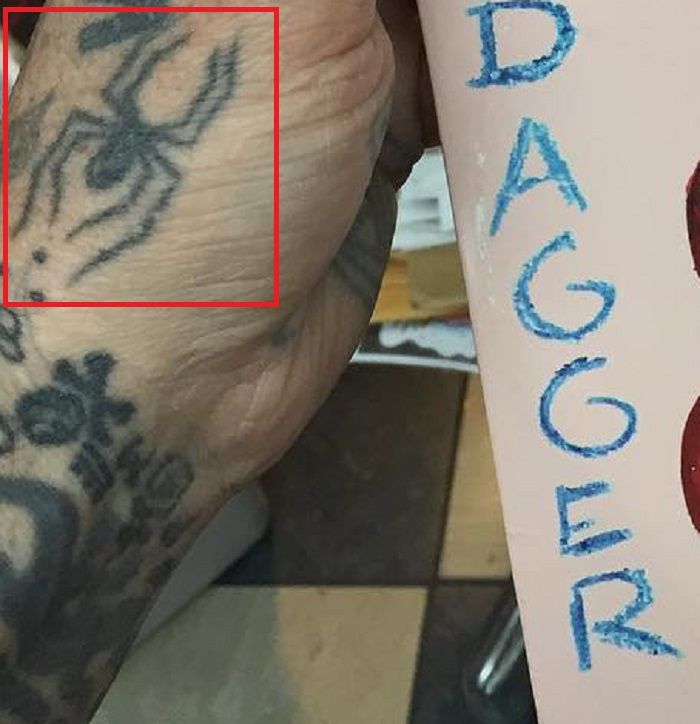 Tatouage Araignée-Oliver Peck-Tattoo