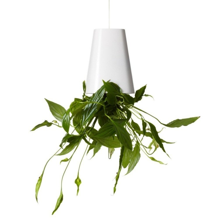 Ghivece de flori pentru a atârna cu susul în jos-inspirație-original-deco-boskke