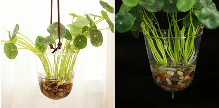 Ghivece-flori-agățat-mkono-transparent-din-sticlă-idee-decor-cu-pietricele