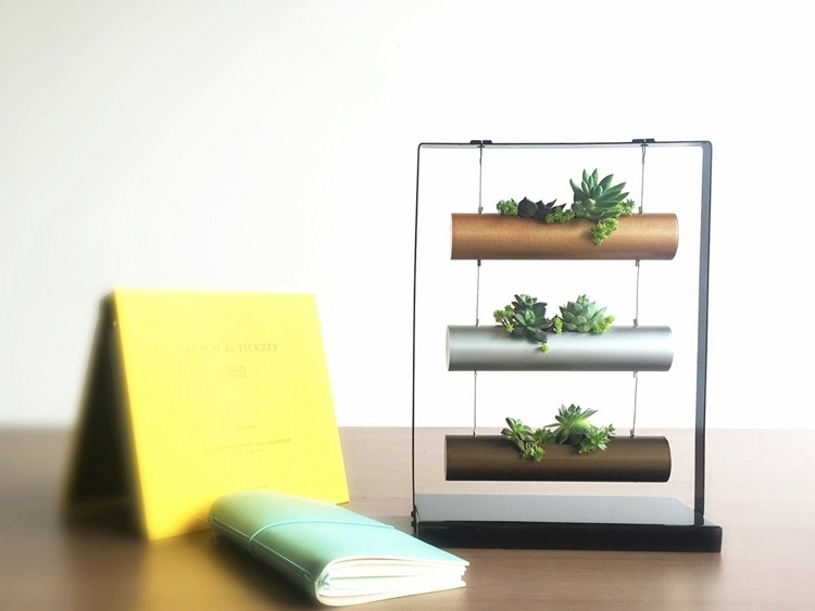 Ghivece de flori de agățat pe suculente-leagăn-stand-birou-decor