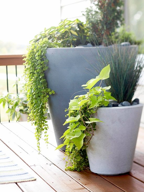 Frumoase ghivece de decorare-design de grădină Ghivece de flori frumoase care decorează vaza de grădină