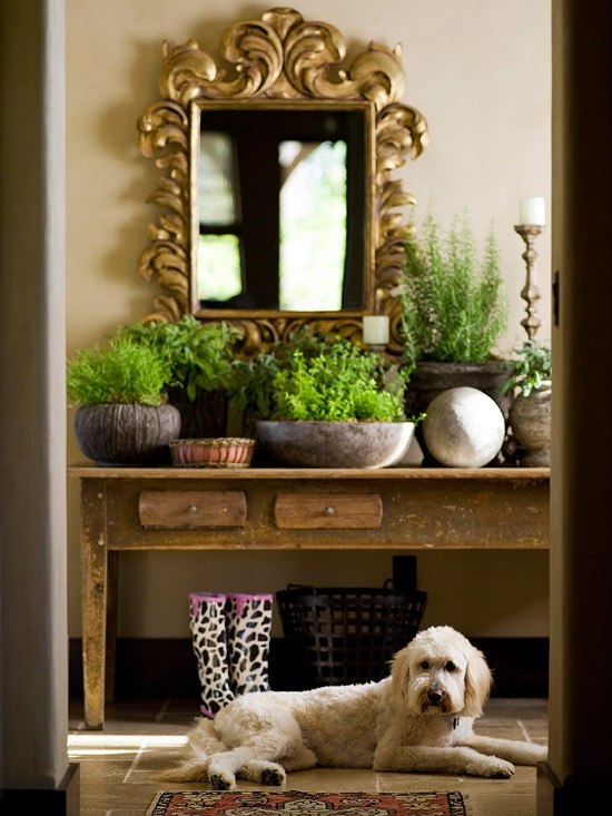 Idei de amenajare a grădinilor interioare Foaier de idei de amenajare a grădinii interioare