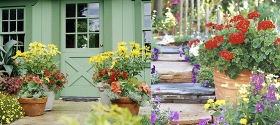 Plantarea luxuriantă a florilor din curtea din față Cutii de ferestre de plantare luxuriante din curtea din față