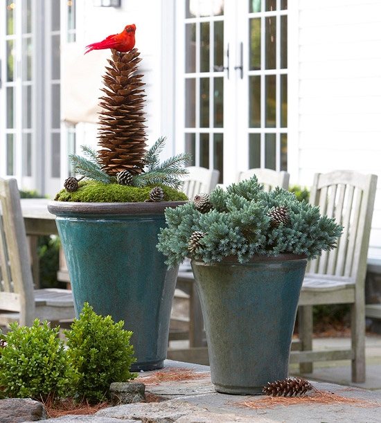 Plante veșnice Aranjarea ghivecelor de plante Idei de amenajare a plantelor de plante veșnic verzi