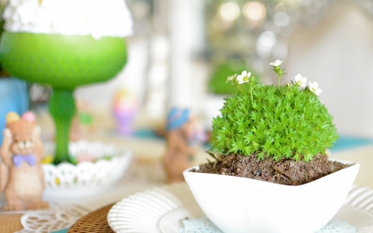Decor de Paști 2015 cu mușchi într-un castron decor de Paște 2015 ghiveci de flori plante mușchi idee de decorare masă