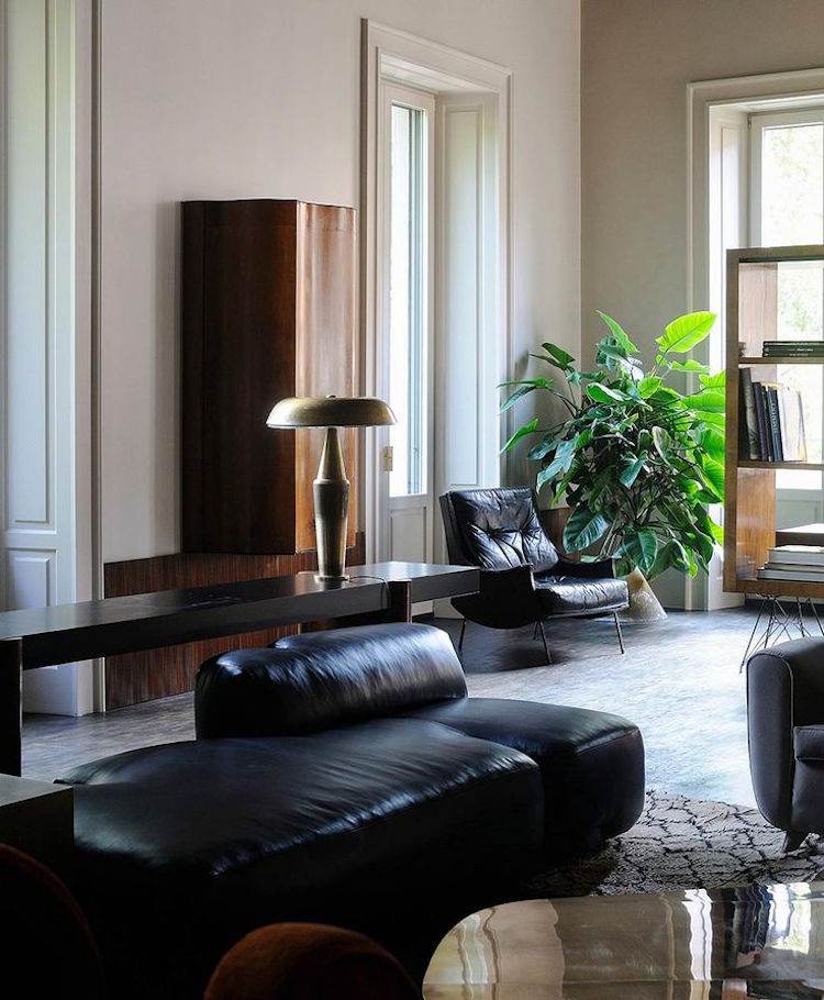 mobilier efect patina plante din piele