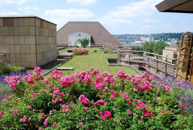 Iarbă și gazon pe acoperiș Plante-acoperiș verde-flori-pajiște-lavandă