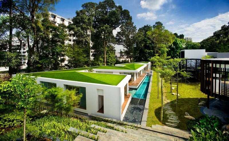 Vilă modernă cu acoperiș verde Plante-acoperișuri verzi-suprafață gazon-acoperiș plat