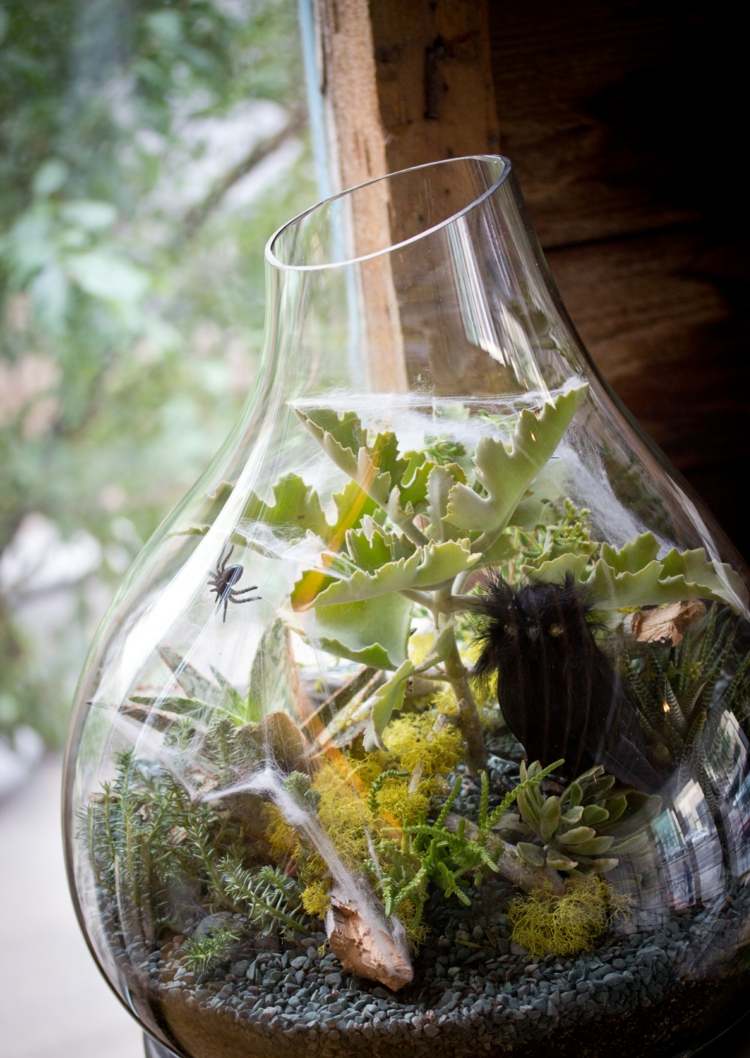 plante halloween terariu suculente carnivore bufniță bricolaj inspirație înfiorătoare