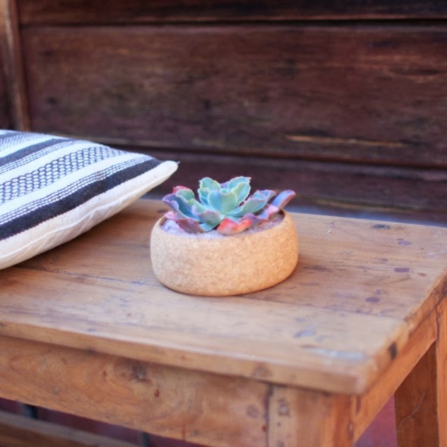 ghiveci de plante mici plante suculente masă de grădină decor rustic Plante suculente masă de grădină dungi decorative de pernă rustice