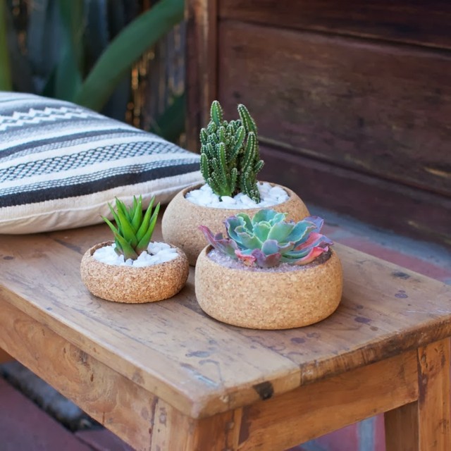 Ghivece de flori de cactus plante suculente plută rustic Ghivece de flori îngrijire plante suculente plută masă rustică de grădină