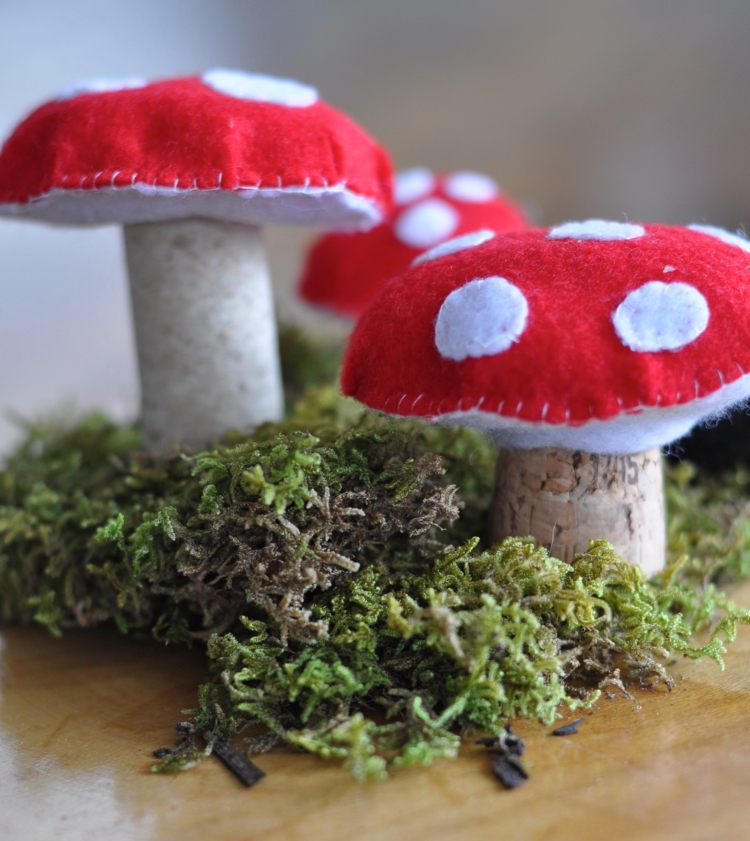 ciuperci ciuperci dopuri de vin cusut pâslă