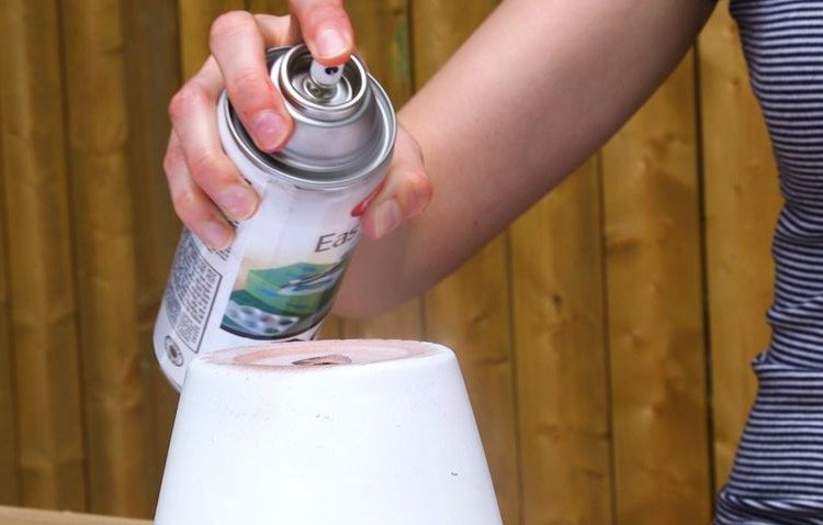 ciuperci ciuperci lut alb