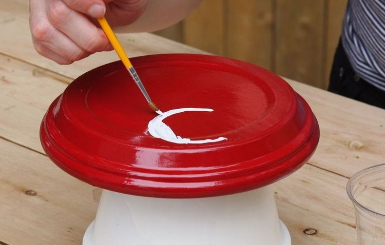 ciuperci tinere sticla pictura cercuri pensula