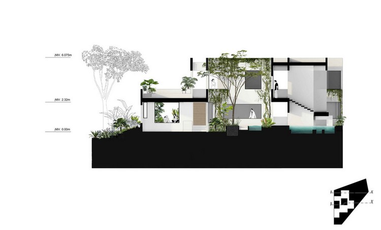 arhitectura taiate case gradina piscine