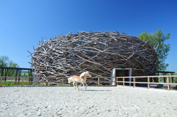Arenă de echitație cu arhitectură modernă Arenă de echitație cu arhitectură modernă