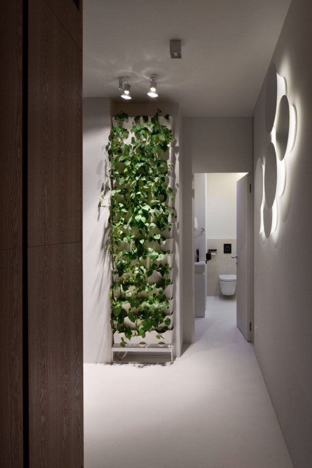 Idei pentru perete verde-verde cu iluminare apartament-renovat-gradina-interioara-verticala-cu-oglinda-iluminata