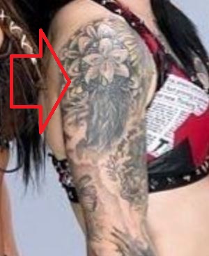 Bicepso tatuiruotė padengta rubinu