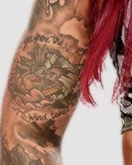 Rubino rankos citata