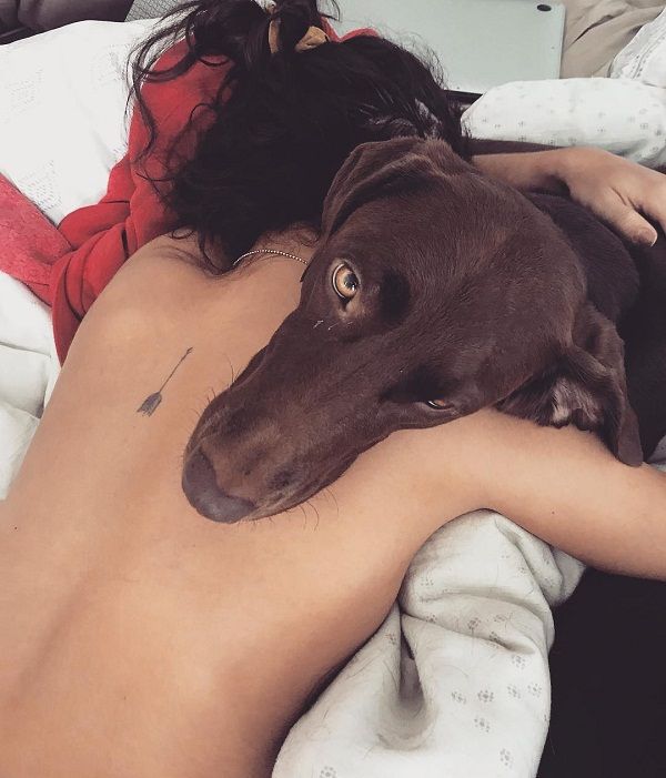 Una freccia sulla sua spina dorsale - Sarah Hyland