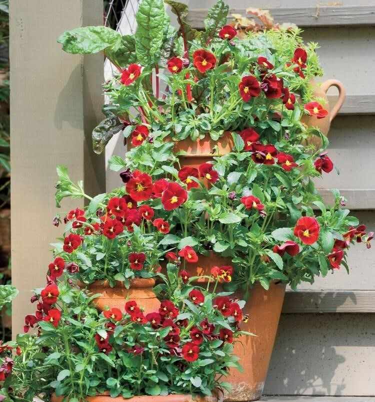 Plantați balconul nordic cu panseluțe și violete cu coarne pentru umbră