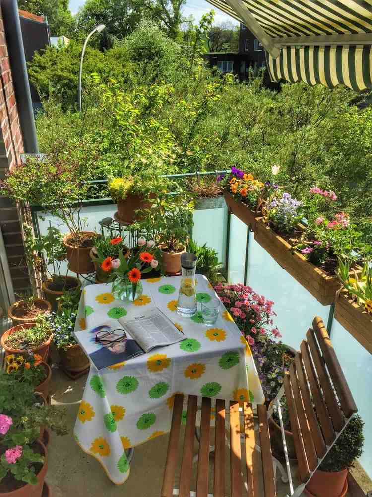 Florile de umbră pentru balcon spre nord, care sunt potrivite pentru flori de vară